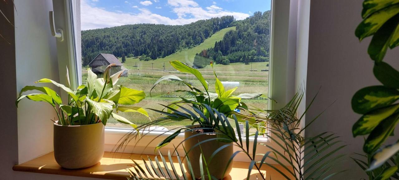 Prenocisca Miklavcic Hotell Nova Vas  Exteriör bild